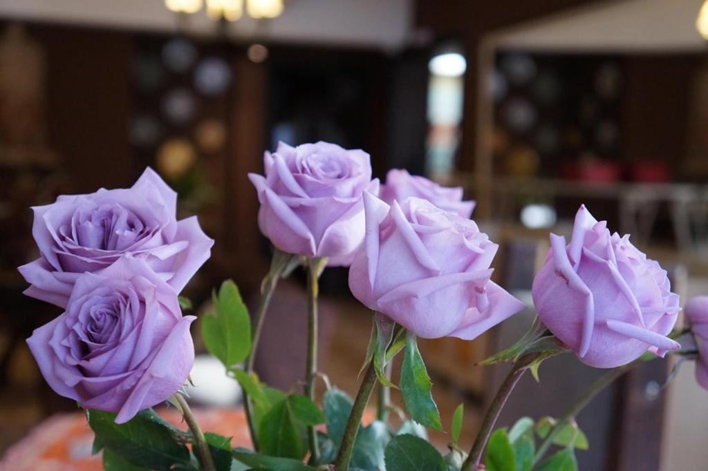 Don Ramon Hotel & Spa Canela Luaran gambar